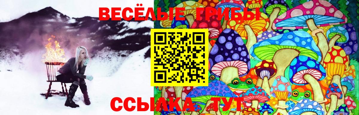 Галлюциногенные грибы мицелий Белгород