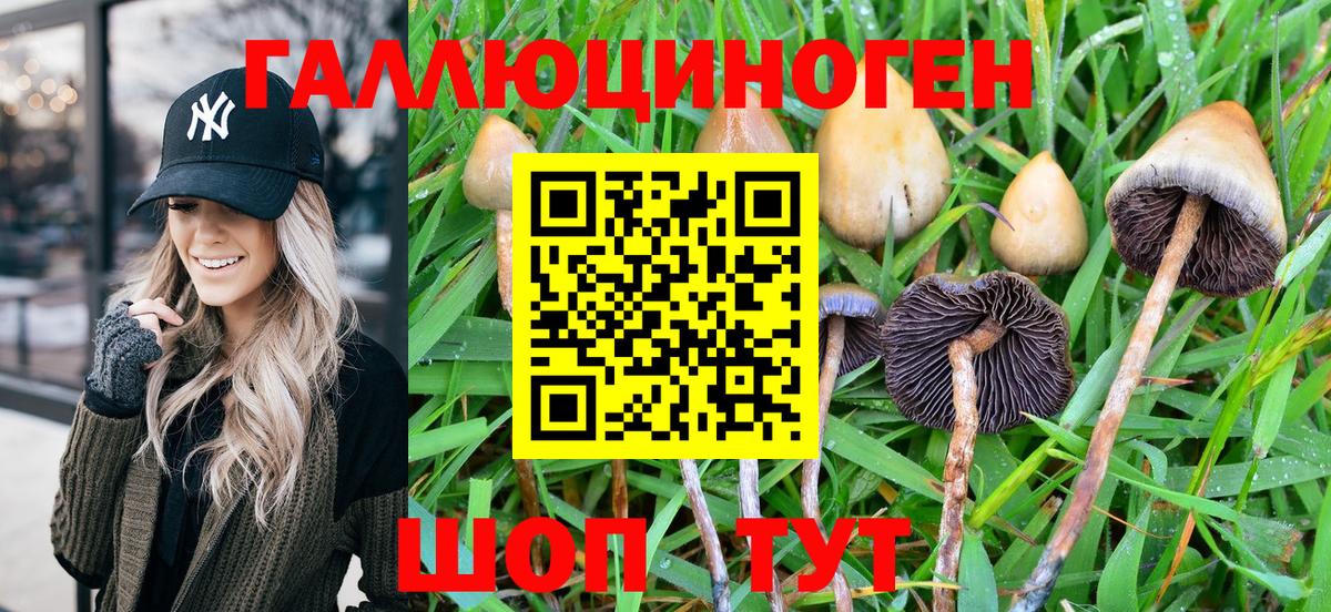 Белгород  Галлюциногенные грибы MAGIC MUSHROOMS  Галлюциногенные грибы Psilocybine cubensis  Вход с VPN 